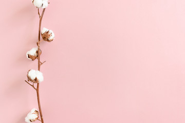 Border frame made of cotton branch on pink background