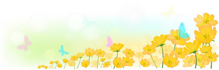 Fototapeta na wymiar Butterfly in the morning light with fresh yellow cosmos or sulfur cosmos flowers background, floral background concept, Nature header or web banner, vector illustration.