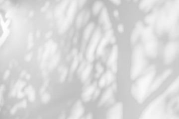 Tree shadow background and natural leaves on branch and tree trunk pattern on white concrete wall