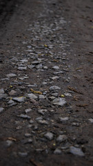 stony pathway on a rain day