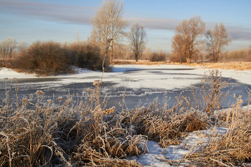 In winter, the trees are covered with fresh snow,