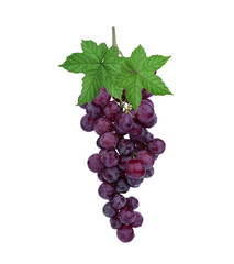 fresh red grape with leaf isolated on white background