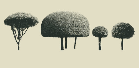 set of dwarfed trees silhouette. high contrast style : vector 