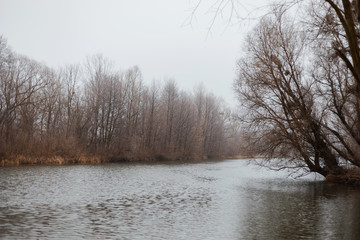 winter landscape river near the banks bare trees