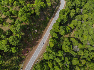 Aerial view of a vehicle on the road through a deep forest. Bird eye view of a Green Forest road. Drone shot.
