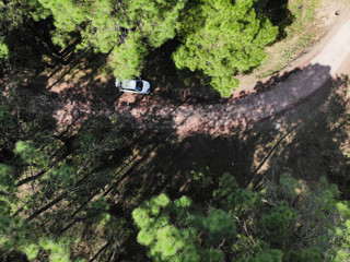 Aerial view of a vehicle on the road through a deep forest. Bird eye view of a Green Forest road. Drone shot.