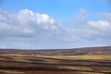 A very remote, isolated house on the moors with open moorland for miles around, Muggleswick Common,...