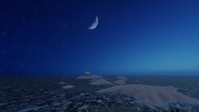 Polar bear on an ice patch, night time
