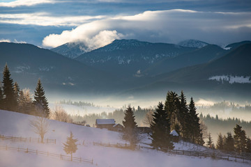 Winter forest in dramatic sunrise in the Carpathians, Romania.