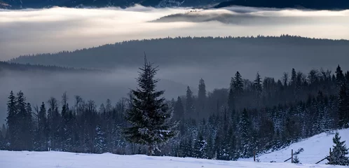 Selbstklebende Fototapete Wald im Nebel Winter forest in dramatic sunrise with fog in the Carpathians, Romania.