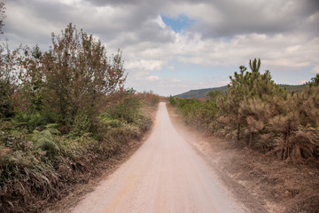Fototapeta na wymiar Natural gravel dust country road.