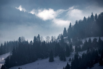 Winter forest in dramatic sunrise with fog in the Carpathians, Romania.