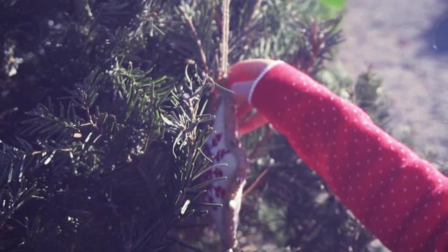 Slow motion. Little girl in red dress on Christmas tree farm.
