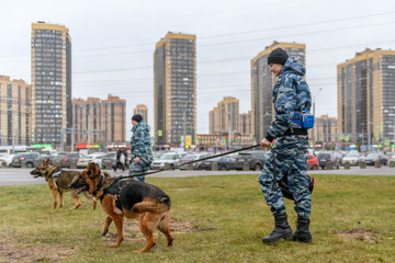 Female police officers with a trained dog patrolling in city