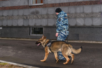 Female police officers with a trained dog. German shepherd police dog. Russian Police. Sign means...