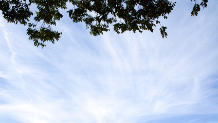 blue sky with white clouds