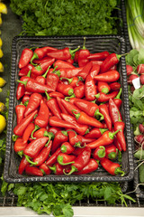 Close-up of red chili pepper in market