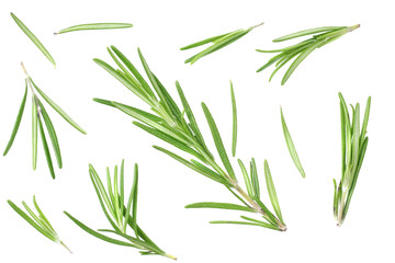 rosemary leaves isolated on white background. top view