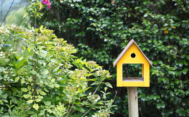 Fototapeta na wymiar Casa para aves no quintal