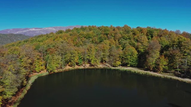 Aerial drone zoom out tilt up of autumn forest trees near Lake Sevan in Armenia under bright blue sky. Colourful forest and water of Gosh Lake in armenian mountains in sunny day