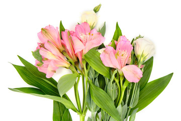 Bouquet of pink inca lilies on a white background, isolated