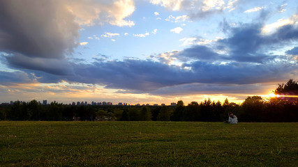 sunset over the field