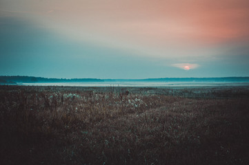 rural landscape at sunset in the fog