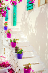 Traditional white house with flowerpots