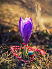 Tradition of welcoming spring in Bulgaria