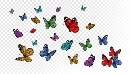 Tuinposter Flying butterflies. Colorful butterfly isolated on transparent background. Spring and summer insects vector illustration. Butterfly summer and spring insect, flying animal © ONYXprj