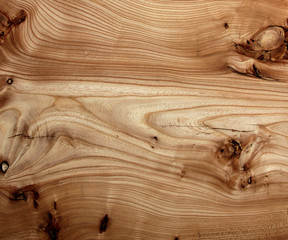 texture of old wood, linden