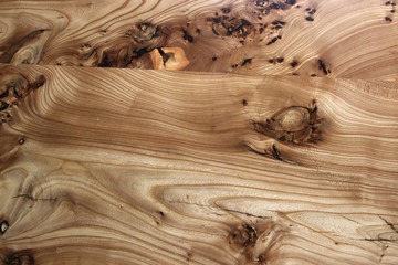texture of old wood, linden