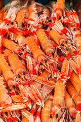 Frische Garnelen bei der Fischversteigerung / Close up 