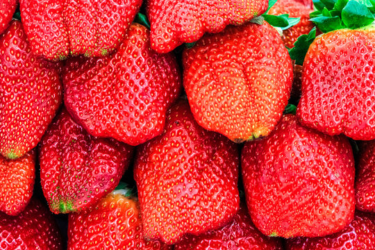 Reife Erdbeeren in Gro&szlig;aufnahme 