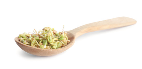 Wooden spoon of sprouted green buckwheat isolated on white