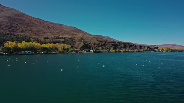 Aerial drone shot of Lake Sevan and shore, gulls flying on background of Mount Ararat. Aerial drone zoom in shot of Lake Sevan under bright blue sky