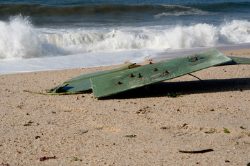 Contemporary issue, pollution of the oceans