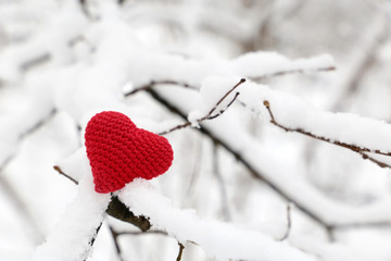 Valentine heart in winter forest, cold weather. Red knitted heart on snow covered branches, symbol of romantic love, concept of Valentine's day