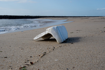 Contemporary issue, pollution of the oceans