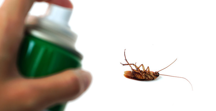 รูปภาพInsecticides – เลือกดูภาพถ่ายสต็อก เวกเตอร์ และวิดีโอ71,578 ...