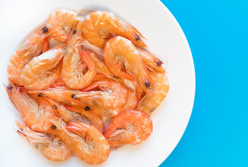Cooked shripms, fried or boiled seafood, king tiger prawns with green herbs, spices on a white plate on a blue background. Top view. Healthy food. Carbohydrate-free keto protein diet for weight loss