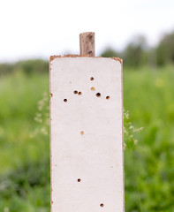 self-made target shooting range, of iron sheet