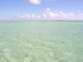 ハワイのサンドバー