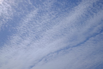 春のうろこぐも 