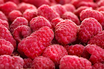 heap of fresh ripe raspberry fruits as textured background