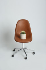 Chair with cactus on white background. Hemorrhoids concept