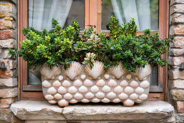 A flower pot decorated with sea shells