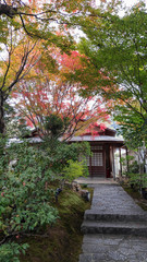 Obraz premium Zen garden at Kodai temple in Kyoto