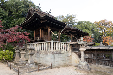 阿智神社の本殿