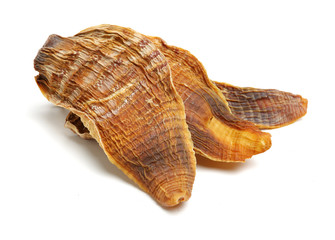 Dry young bamboo shoot on white background